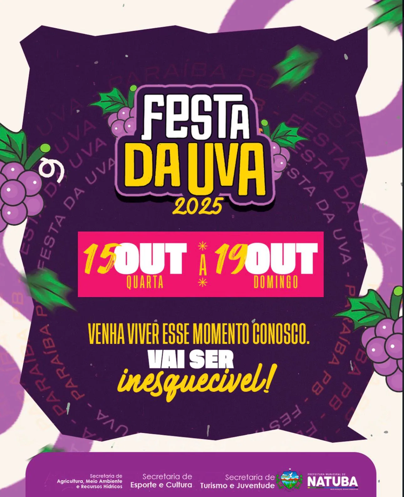 FESTA DA UVA